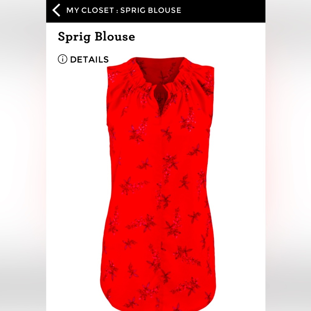 CAbi Sprig Blouse